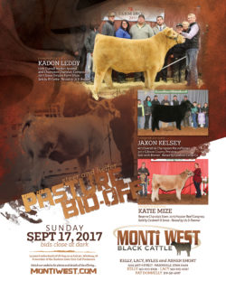 Monti West Black Cattle - 2017 Ad